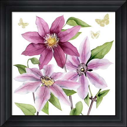 Framed Clematis Climb I Print