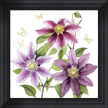 Framed Clematis Climb II Print