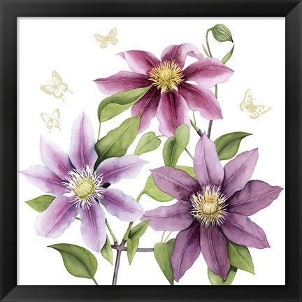 Framed Clematis Climb II Print