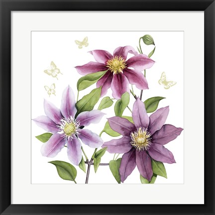 Framed Clematis Climb II Print