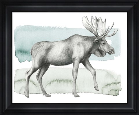 Framed Animale III Print