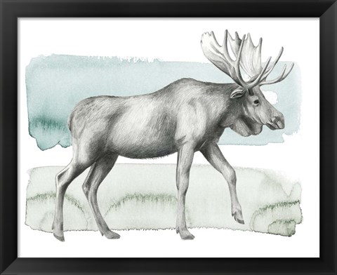 Framed Animale III Print