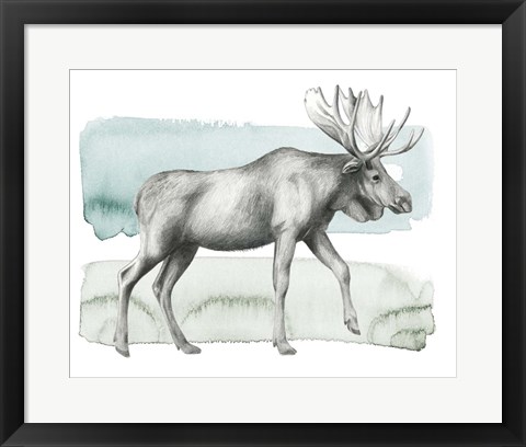 Framed Animale III Print