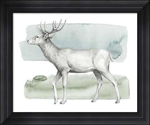 Framed Animale IV Print