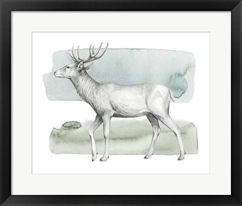 Framed Animale IV Print