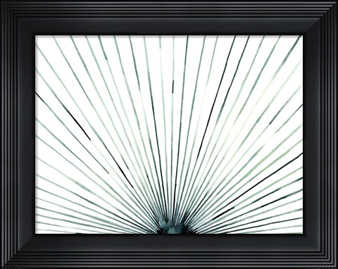 Framed Strobe I Print