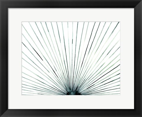 Framed Strobe I Print