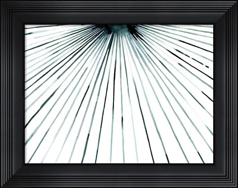 Framed Strobe II Print