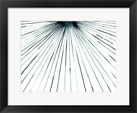 Framed Strobe II Print