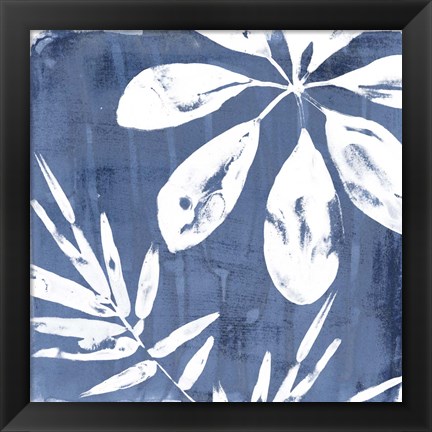 Framed Tropical Indigo Impressions II Print