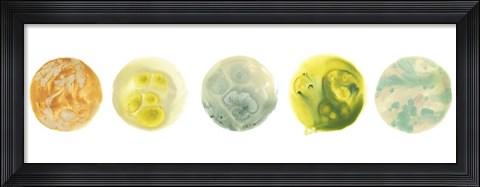 Framed Planetary VIII Print