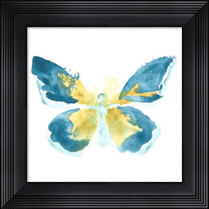 Framed Butterfly Traces I Print