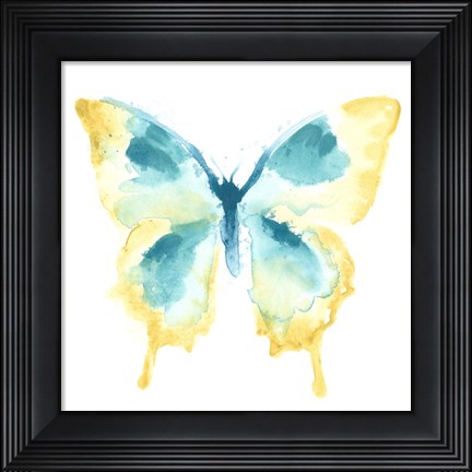 Framed Butterfly Traces II Print