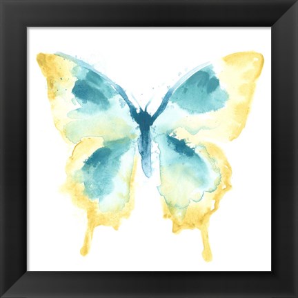 Framed Butterfly Traces II Print