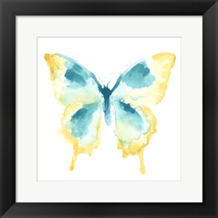Framed Butterfly Traces II Print
