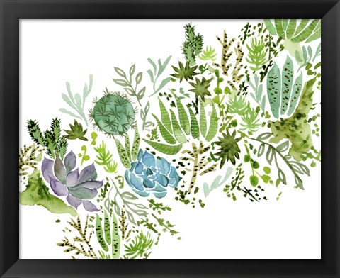 Framed Succulent Field I Print
