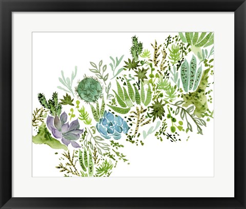 Framed Succulent Field I Print