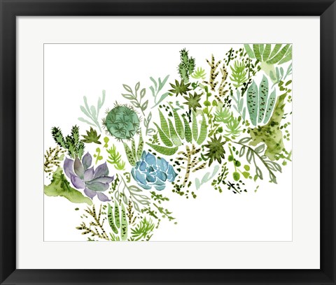 Framed Succulent Field I Print