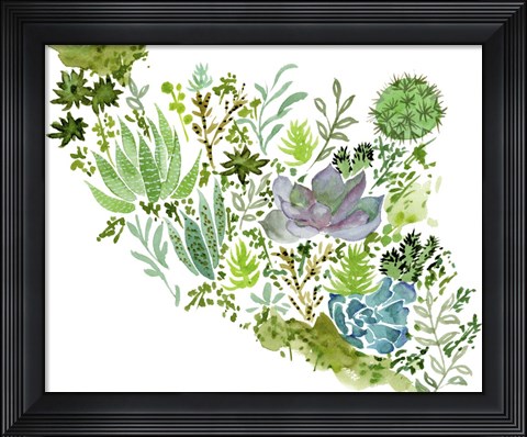 Framed Succulent Field II Print
