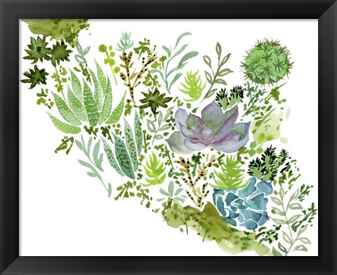 Framed Succulent Field II Print