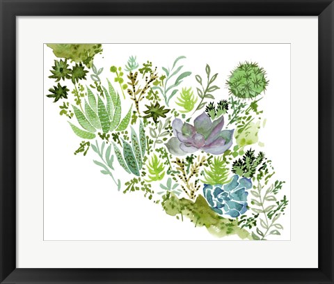 Framed Succulent Field II Print