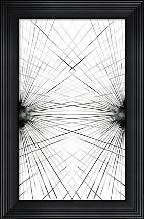 Framed Rays III Print
