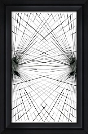Framed Rays IV Print