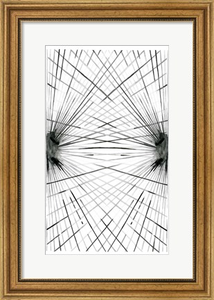 Framed Rays IV Print