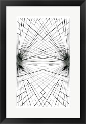 Framed Rays IV Print