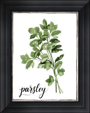 Framed Watercolor Herbs II Print