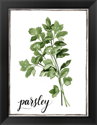 Framed Watercolor Herbs II Print