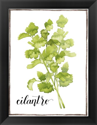 Framed Watercolor Herbs IV Print