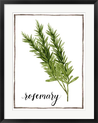 Framed Watercolor Herbs V Print