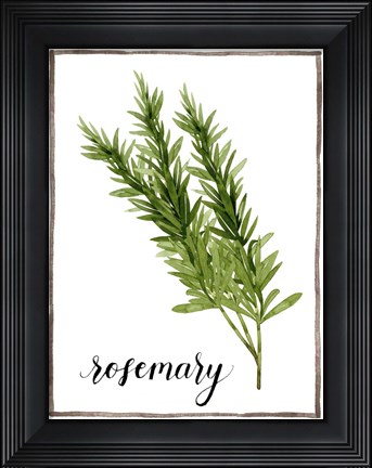 Framed Watercolor Herbs V Print