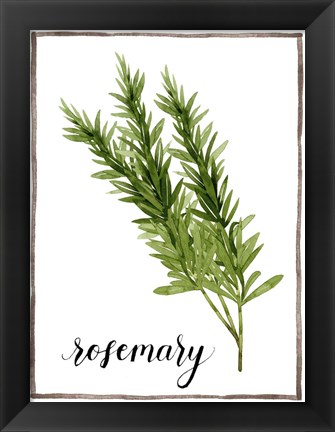 Framed Watercolor Herbs V Print