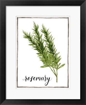 Framed Watercolor Herbs V Print