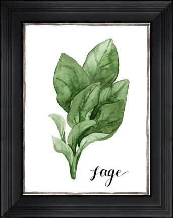 Framed Watercolor Herbs VI Print