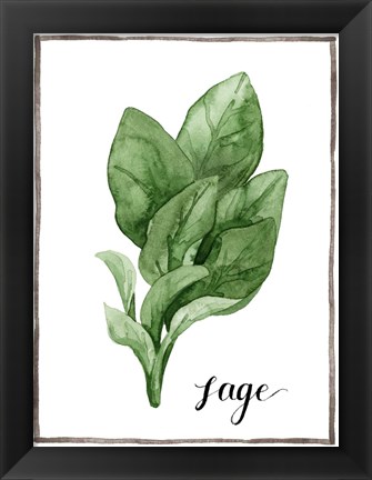 Framed Watercolor Herbs VI Print