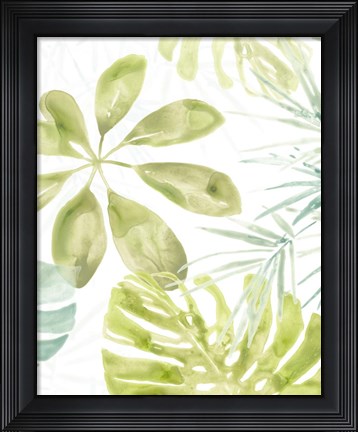 Framed Island Medley II Print