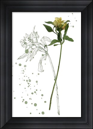 Framed Botany Flower I Print