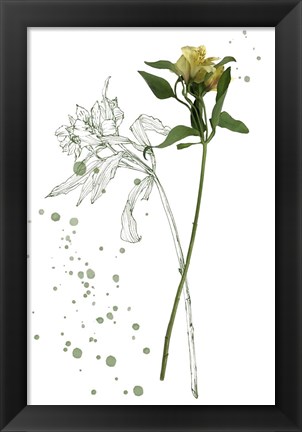 Framed Botany Flower I Print