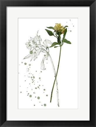 Framed Botany Flower I Print