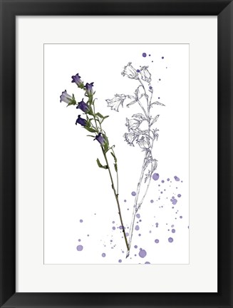 Framed Botany Flower II Print