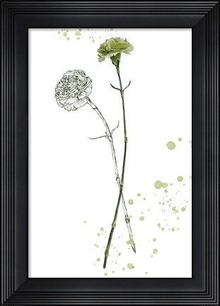 Framed Botany Flower III Print