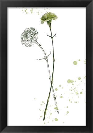 Framed Botany Flower III Print