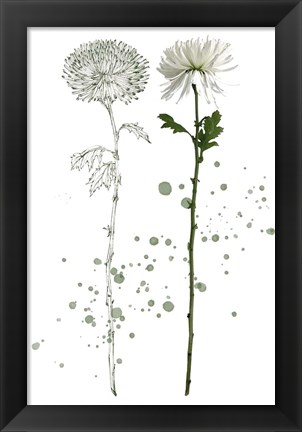 Framed Botany Flower IV Print