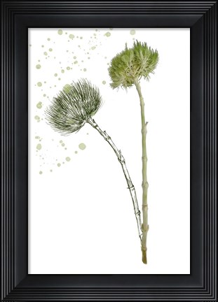 Framed Botany Flower V Print