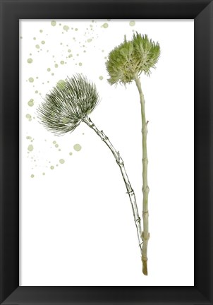 Framed Botany Flower V Print