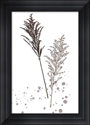 Framed Botany Flower VI Print