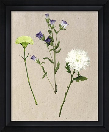 Framed Pretty Pressed Flowers I Print